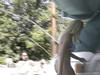 Pregled videozapisa