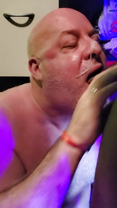 Bear Gets a Facial in the Office