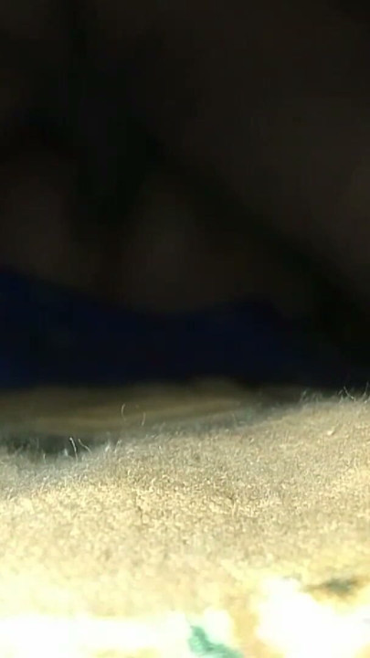 Bangladeshi couple hot sex in bedroom | Clip 1