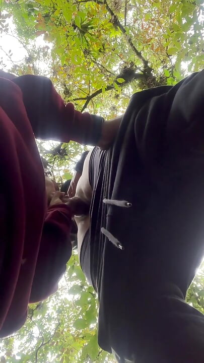 Sucking My Classmate’s Dick on Campus