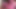 Screaming girlfriend has anal orgasm.