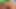 Short Haired Chick Gets Smashed by a Hude Dude