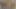 Büyük yaraklı bir adam çekici Asyalı kıza sert anal seks yapıyor