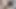 cumshot on doggy with Asian chubby