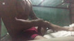 Pregled videozapisa