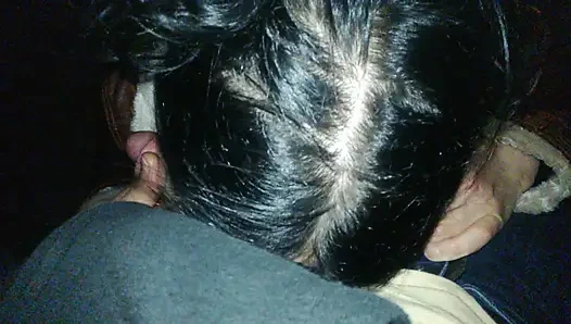 My milf wife gives me a blow job in a park!