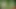 Naked soft foreskin walking in the woods