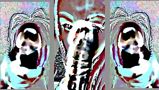Turning You Into Leah the BBC Cumdumpster Sexdoll