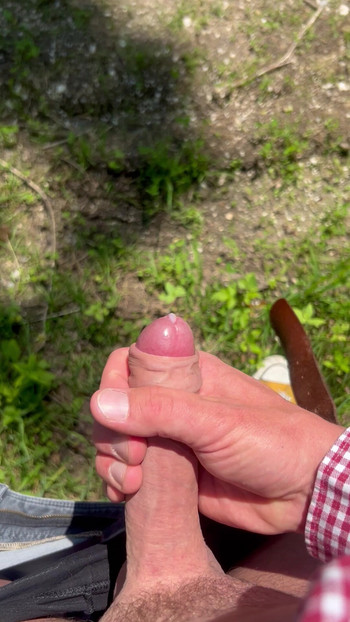 Quick shot in the forest