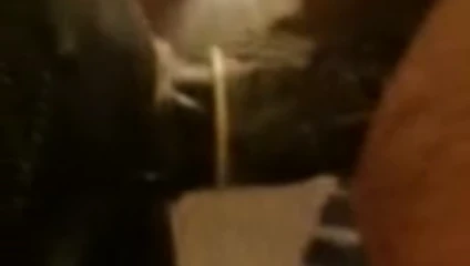 hepsi içinde