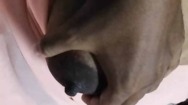 brought his beautiful girlfriend to his house and had sex with her when his family was not at home