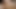 セクシーなボディ愛撫猫のいじめ