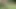 Huge cumshot on the river after a hot fuck with orgasm