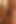 Barebackthathole - Riley Mitchel latin leo forte'u prezervatifsiz sikiyor