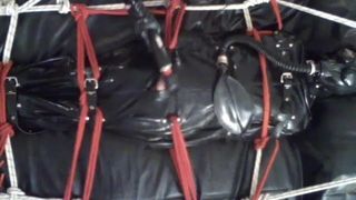 Cock, balls & Arse Torture with electro 2