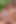 Fucked Asses Scene 2 Beautiful Blonde Teen Blue Angel Fucked in the Ass in the Garden