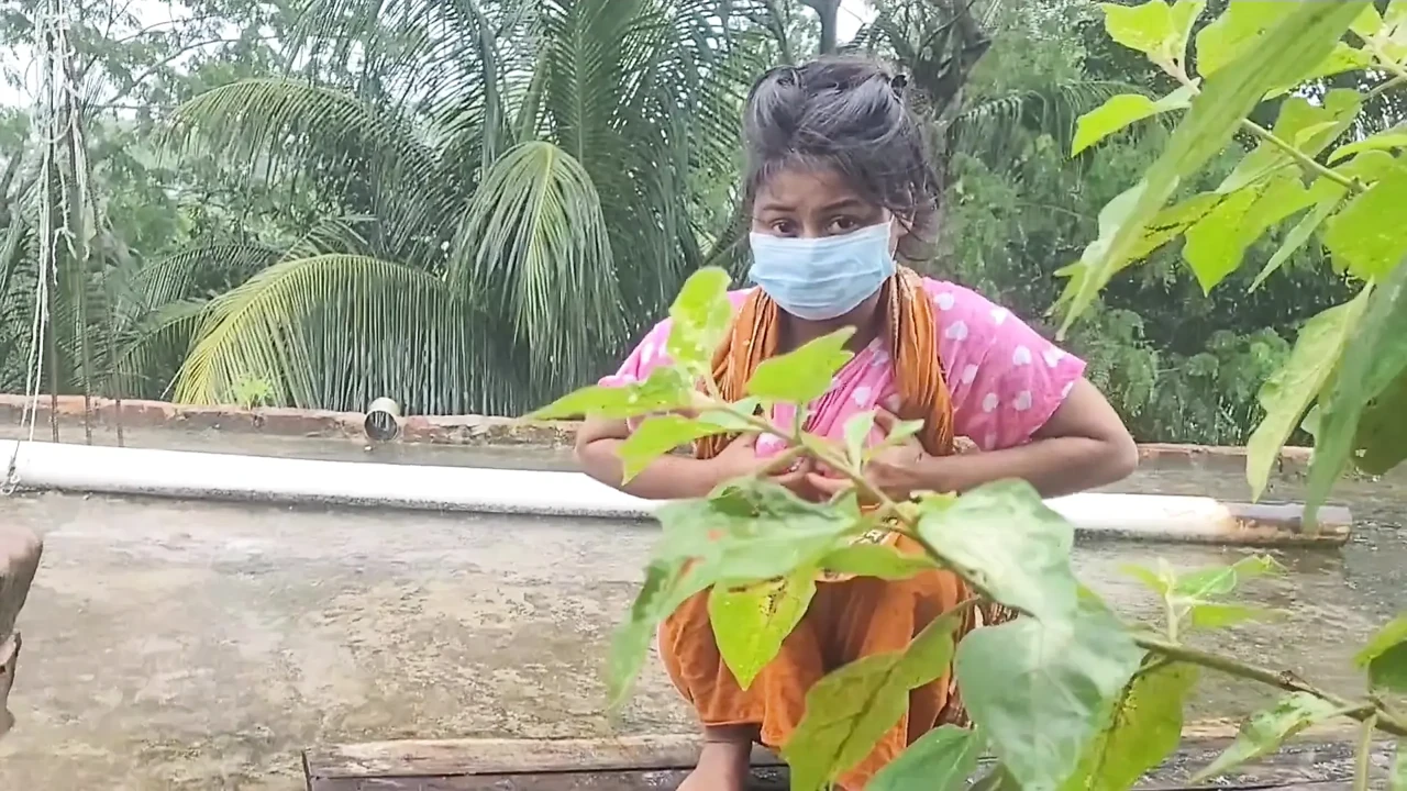 Viral Bangladeshi video: Going to the rooftop in the rain to suck my younger brother's wife's juicy breasts.
