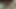 彼女の好きなこと