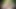 Elf Girl in the Forest: Anal Play & Dildo Fun