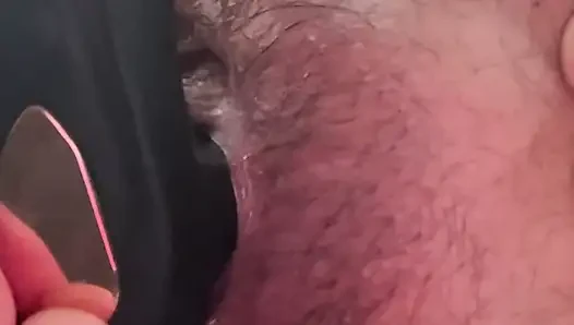 Algerian Zamil Ki Hambal on a cock