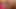 Pembantu cantik langsing menunggangi kontol di meja lubang kemuliaan