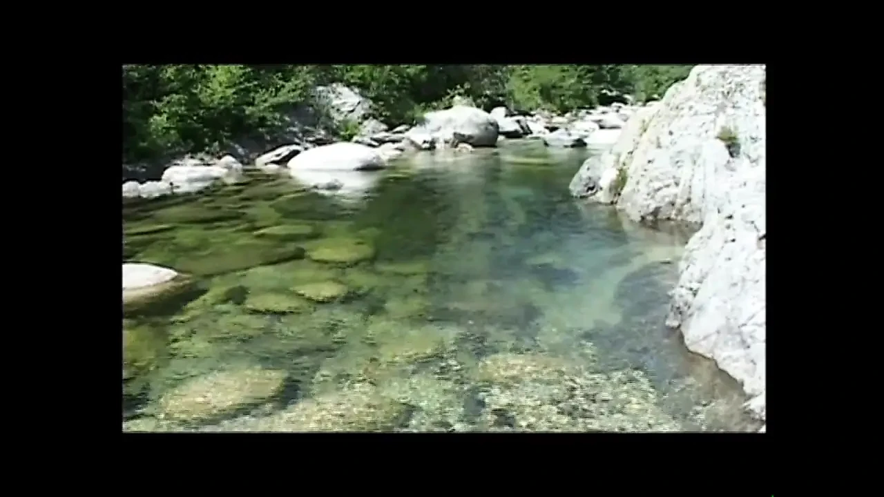 年轻的荡妇和熟女在激烈的口交和女同性恋手淫（完整电影）