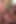 Belle Claire bu ırklararası grup sekste dört adamla her deliği sikiyor