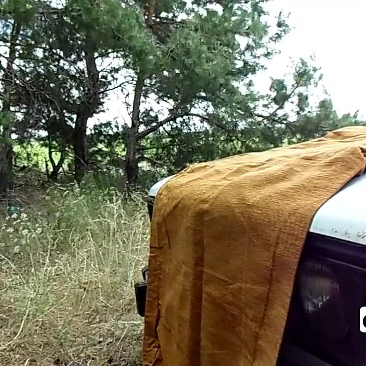 成熟したアマチュアカップルの夏の屋外クソ