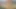 Asian Dick Solo Masturbation