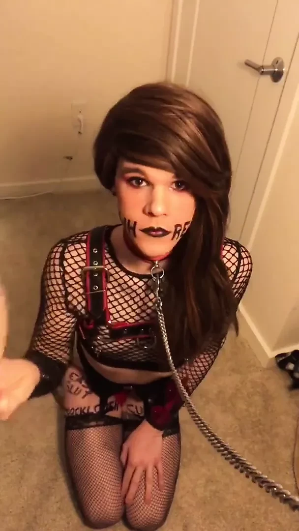 Adorable Kitty 16