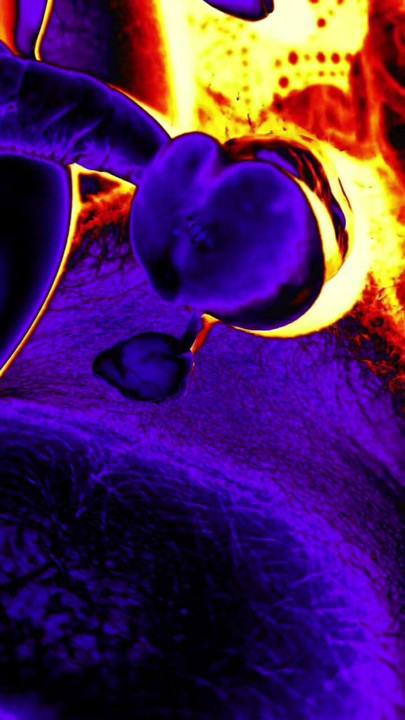 Heet kreunen en cumshot close-up