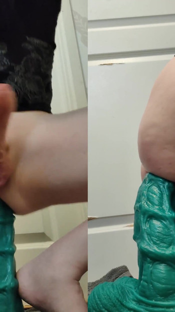 Pregled videozapisa