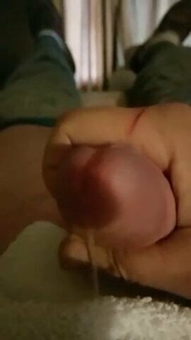 Penis