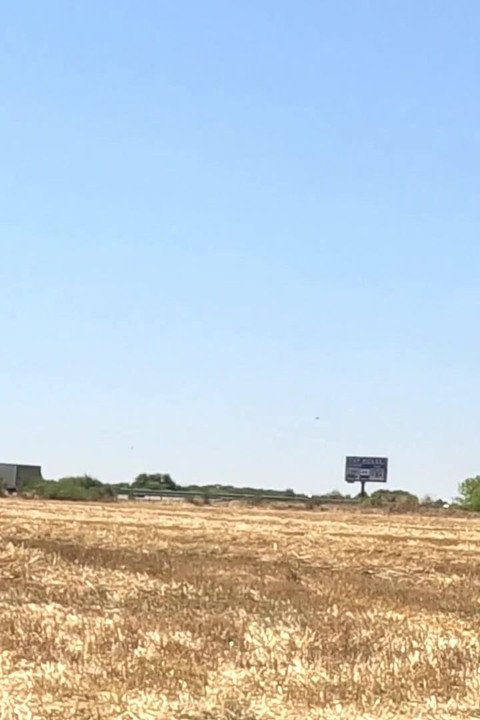 Slave Tih with a Bucket of Pussy Shows off to the Cars