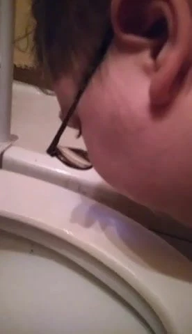 Breeding cow licking her pee