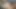 Viral beautiful girl with perfect body and big breasts invited to fuck