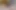 Lil insan dildo sikiliyor ve aşağılanıyor (ve çizmelerimi yalamak zorunda!)