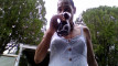 Pregled videozapisa