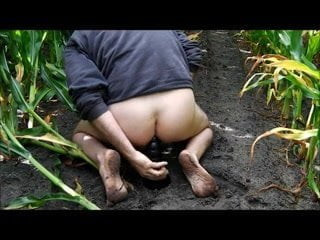 DILDO STOP IN CORNFIELD