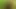 Yeşil bahçe tam seks videosu hasinabegum1234