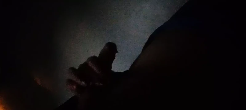 Quick wank