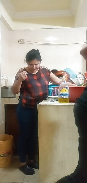 Maid Fucked When She Washes the Dishes