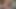 Pregnant and abandoned nymphomaniac My pussy beats for you