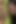 Dirty Bruna Must Be Thoroughly Cleaned From Blowjob Mouth to Her Anal Welcoming Plump Bum