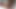見たことのない尻