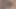 Boşalana kadar amını yalıyorum