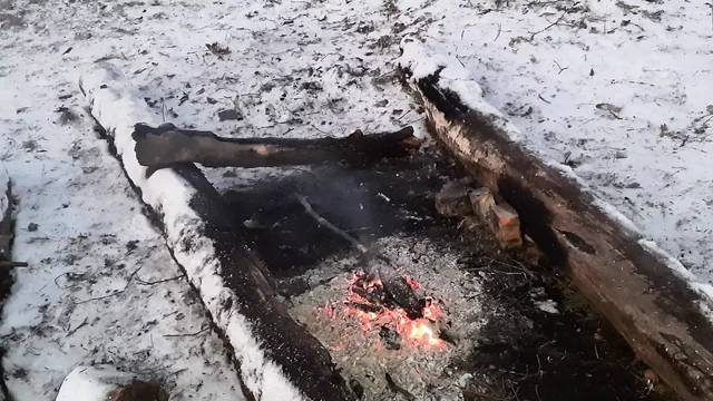 My girlfriend risky pussy licking in the woods near the campfire at a picnic - Lesbian-candys