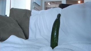 Cucumber lover