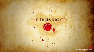 The Training of O by Kink
