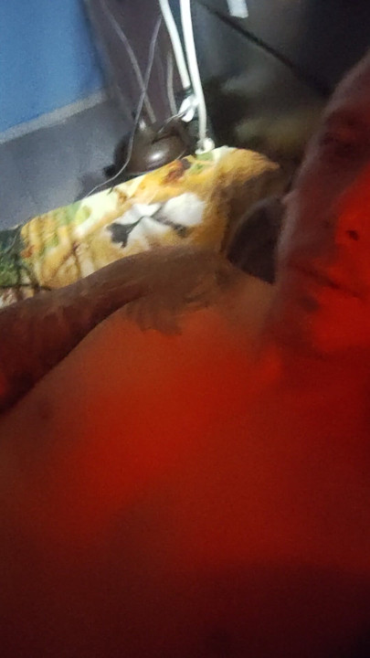 Bedroom Naked